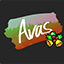 avas.cc